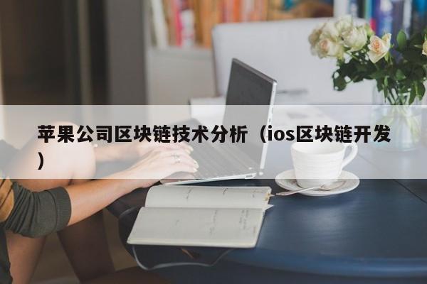 苹果公司区块链技术分析（ios区块链开发）