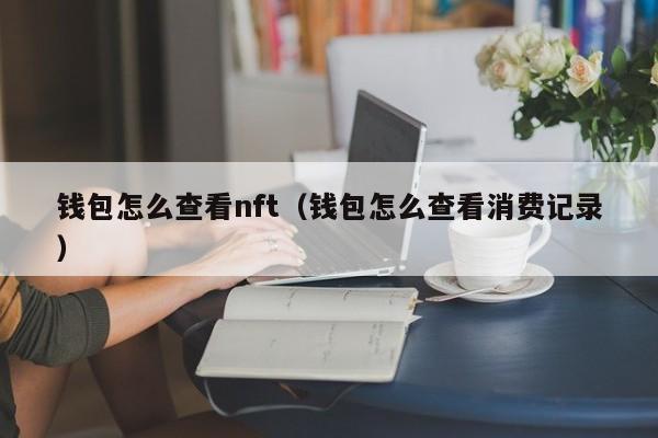 钱包怎么查看nft（钱包怎么查看消费记录）