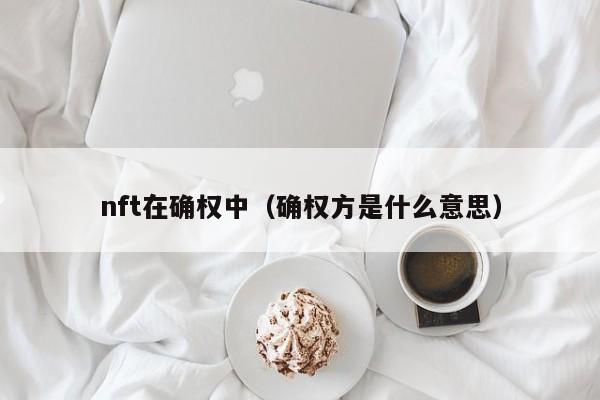 nft在确权中（确权方是什么意思）