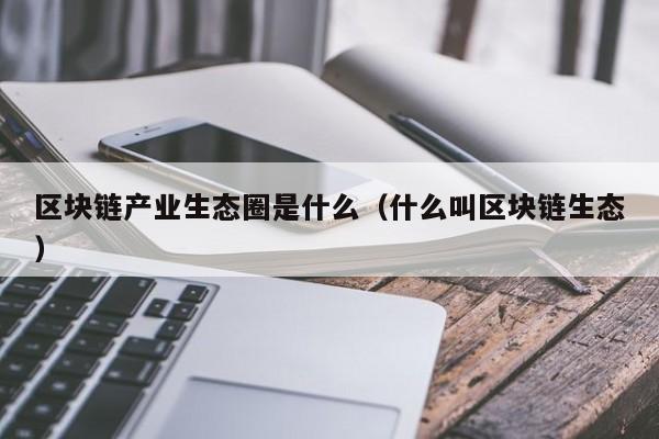 区块链产业生态圈是什么（什么叫区块链生态）