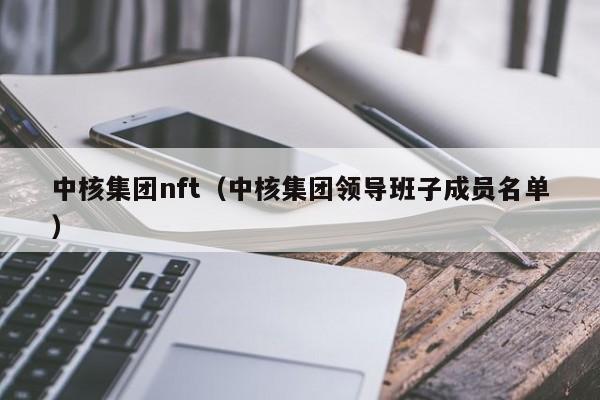 中核集团nft（中核集团领导班子成员名单）