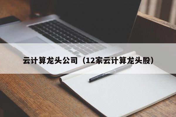 云计算龙头公司（12家云计算龙头股）