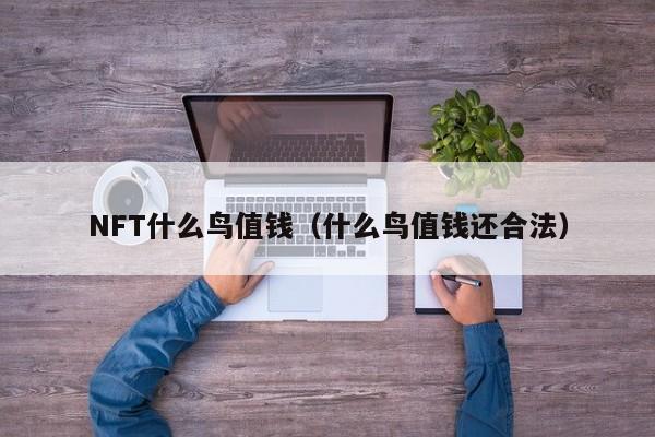 NFT什么鸟值钱（什么鸟值钱还合法）