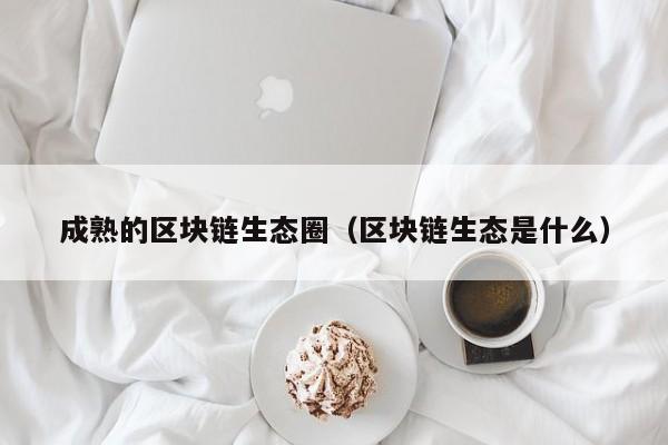 成熟的区块链生态圈（区块链生态是什么）