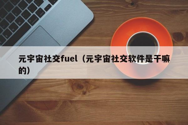 元宇宙社交fuel（元宇宙社交软件是干嘛的）