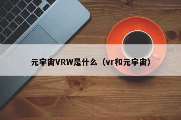 元宇宙VRW是什么（vr和元宇宙）