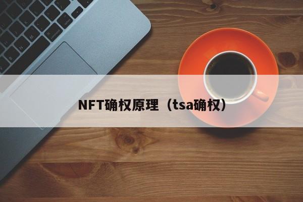 NFT确权原理（tsa确权）