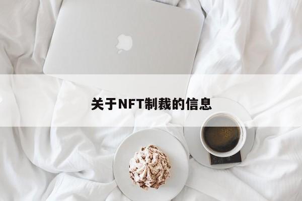 关于NFT制裁的信息