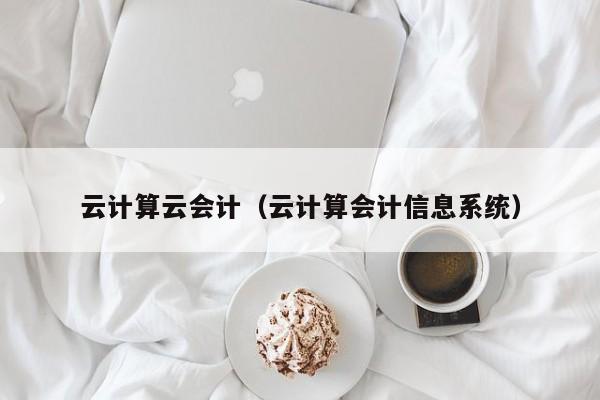 云计算云会计（云计算会计信息系统）