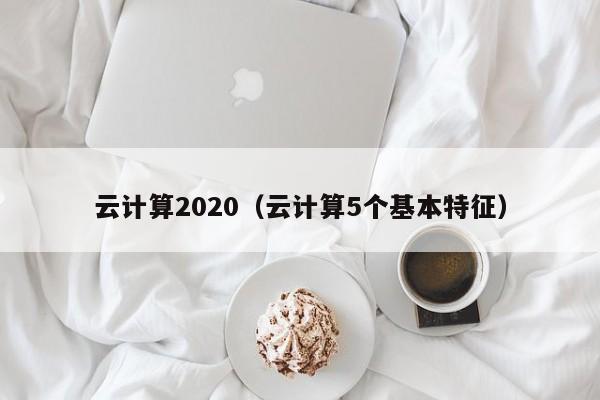 云计算2020（云计算5个基本特征）