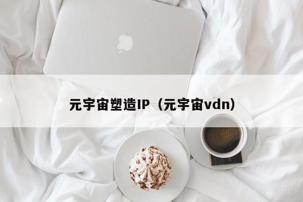 元宇宙塑造IP（元宇宙vdn）