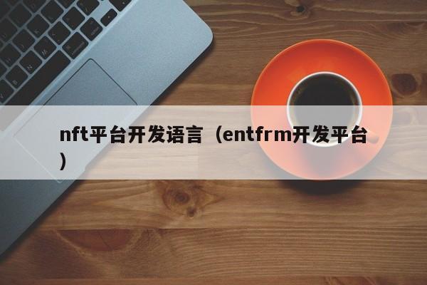 nft平台开发语言（entfrm开发平台）