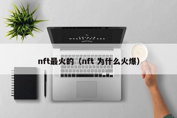 nft最火的（nft 为什么火爆）